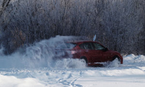 driving like a pro in the snow