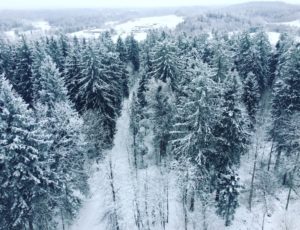 baltic run 2017 photo competition