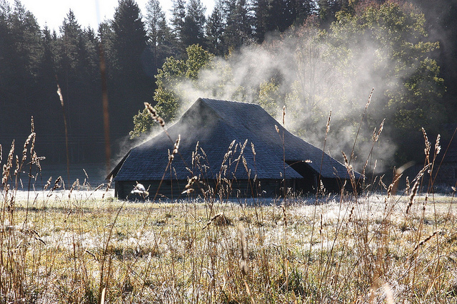 gauja national park