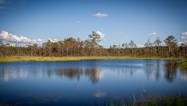 why we love estonia