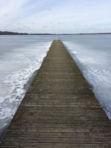 why we love estonia